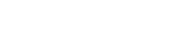 The Boston Globe - 350x90 - White